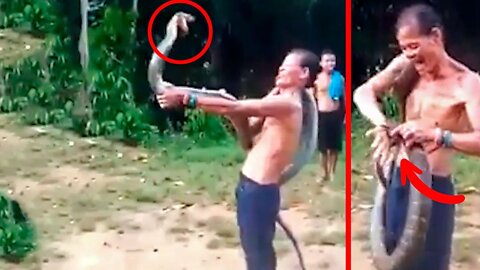 6 Snake Attacks You Wish you Never Saw