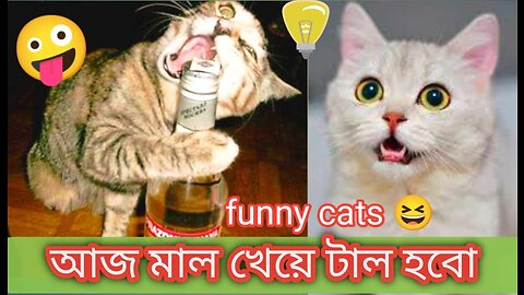 Must Watch New Special Comedy animals Video 2023 😎Totally Amazing Comedy Episode