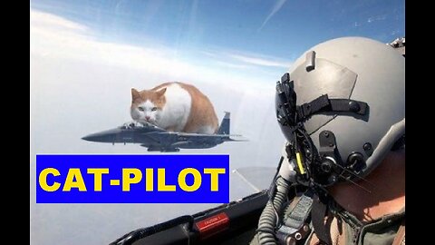 Cat-Pilot. Tel loves the flight simulator, especially take-off.