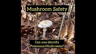 Mushroom Safety: Learn to Identify Poisonous Mushrooms