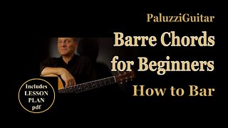 Barre Chords Guitar Lesson for Beginners [How to Bar]
