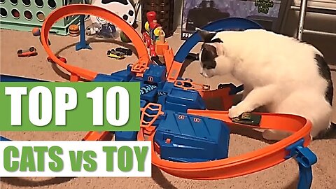 TOP 10 CATS vs TOY