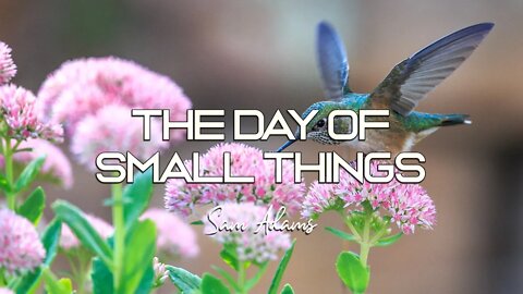 Sam Adams - The Day of Small Things