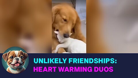 Unlikely Friendship: Heartwarming Cat and Dog Duos