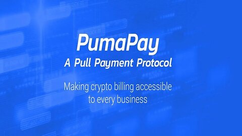 Pumapay CEO Payment Solutions Meetup