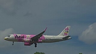 Airbus A320NEO PR-YSK Minnie Mouse livery coming from Campinas to Manaus