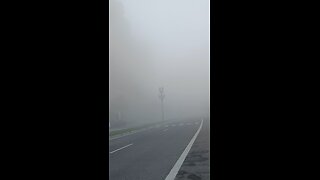 beautiful fog
