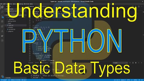 Understanding Python: Basic Data Types