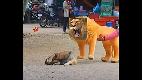 Funny Troll prank on dog with fake lion and huge Box Prank! 🤣