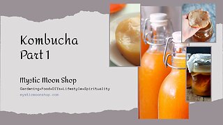 Kombucha Part 1 How To Brew