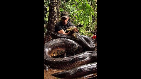 Paul Rosolie sendo engolido vivo por uma anaconda