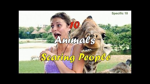 10 Funny Animals Scaring People Part 02