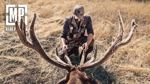 Hunting California's Tule Elk | Mark V. Peterson Hunting