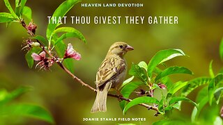 Heaven Land Devotions - That Thou Givest They Gather