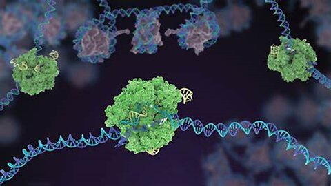 FDA APPROVES NEW CRISPR GENE EDITING DRUG - TRANSHUMANISM HUMAN 2.0 - AS IN THE DAYS OF NOAH