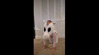 Unicorn Dance