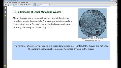 10th Class Bio Osmotic Adjustment in Plants