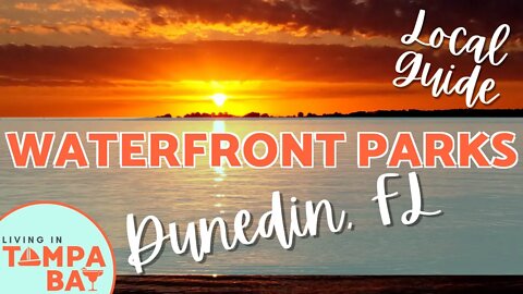 Waterfront Parks in Dunedin | A Cinematic Tour #dunedinfl #waterfront
