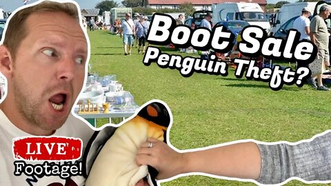 Torbay Car Boot Sale | Accused of Stealing A Penguin! | UK eBay Reseller | Part 1