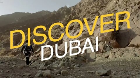 Welcome to my channel | EXPLORE DUBAI | Join us explore the wild side of Dubai. | A WILD LIFE DUBAI