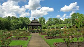 Thomasville Rose Garden Summer 2022