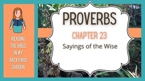 Proverbs Chapter 23 | NRSV Bible