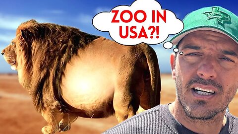 Cuban Reacts to the Zoo in America - Emotional!