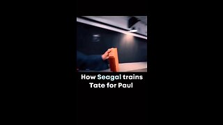 How Seagal trains Tate for Paul