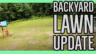 June Showers and a One Year Tall Fescue Lawn Update