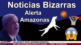 REACT - NOTICIAS BIZARRAS DO ALERTA AMAZONAS!!! (SIKERA JR)