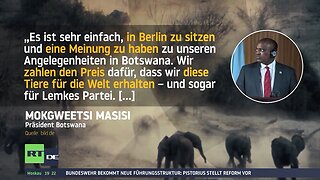 Berlins Moralapostel verursachen "Elefanteneklat" zwischen Deutschland und Botswana