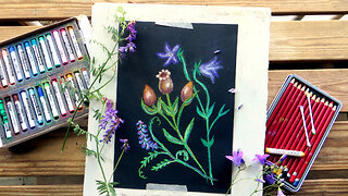 SOFT PASTEL Drawing on BLACK PAPER || How to Draw Flowers