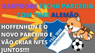 #babydoge fecha parceria inédita com time alemão - 136