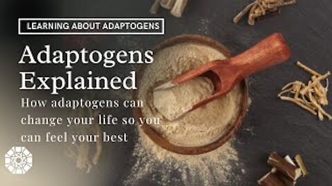 ADAPTOGENS EXPLAINED | How adaptogens can benefit your life | How to take adaptogens