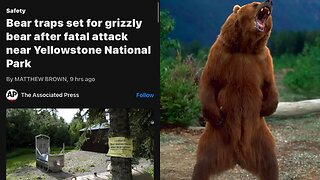 a grizzly bear that killed a woman who was traveling alone