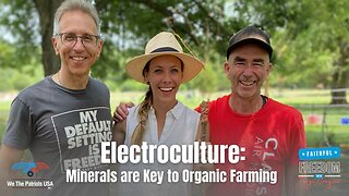 Minerals are the Key to Organic Gardening, How to Benefit from Electroculture | Ep 104