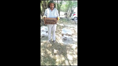 bee keeping