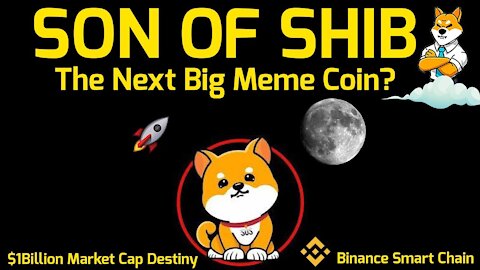 The Son of Shib $SON The Next Big Meme Coin? $1Billion Dollar Market Cap Destiny Constant Token Burn