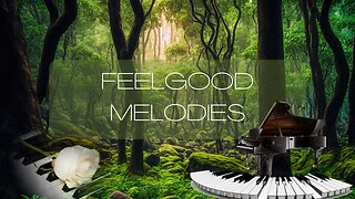 1 Hour Tranquility Piano Music (2023) | Soothing Sounds of the Piano.