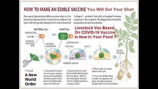 What’s in a Covid-19 Vaccine? - Everyone Will Now Get Edible Vaccine in Your Food