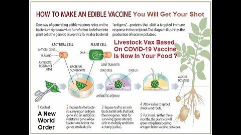What’s in a Covid-19 Vaccine? - Everyone Will Now Get Edible Vaccine in Your Food