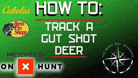 What You NEED To Know About A Gut Shot Deer - How To - Outdoor Education Series