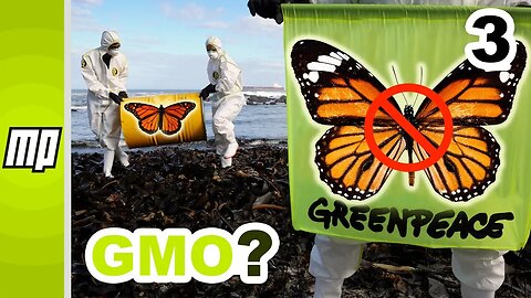 Why Does Greenpeace like Butterflies?