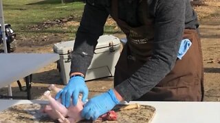 HOW To Process Chickens EASY STEP BY STEP For Beginners!