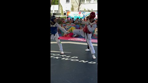 head shot taekwondo knockout shot