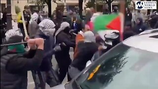 Black Israelites vs Pro-Hamas Protesters in Chicago