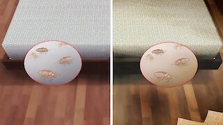 How to quickly get rid of bed bugs