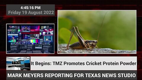 It Begins: TMZ Promotes Cricket Protein Powder
