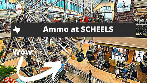 Scheels: Shopping for AMMO