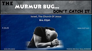 THE MURMUR BUG...DON’T CATCH IT